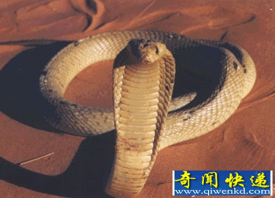 180綾۾߳ 26