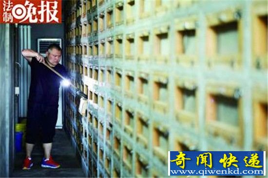27岁小伙养3万条蛇 年收入达几百万