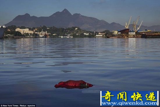 巴西奥运会场地现浮尸 污染问题惹担忧