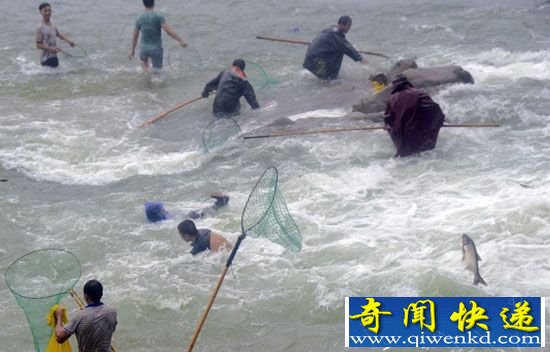 水库泄洪市民入水捞道德鱼 民警苦劝无果