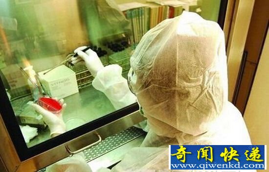 咖啡品种遗传秘密 中法等国科学家破译