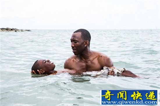 奥斯卡影片大盘点 影帝影后到底花落谁家?