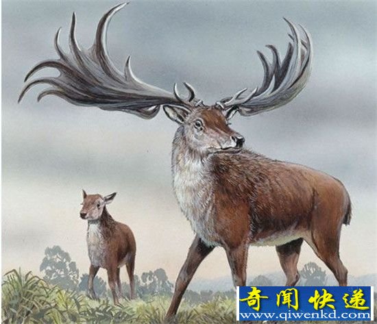 盘点那些曾经被认为灭亡却又出现在地球上的生物 看你知道几个?