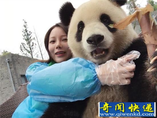 大熊猫与妹子合影竟然会找角度 真是萌翻了!
