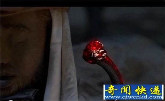 自然界的绝命毒师 比精绝古城里的毒蛇厉害多了!