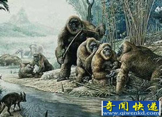 远古巨猿只吃香蕉!最后竟然被饿死