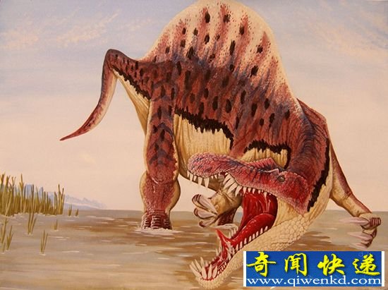 地球上已经灭绝的十种残暴的恐龙 霸王龙只排第三!