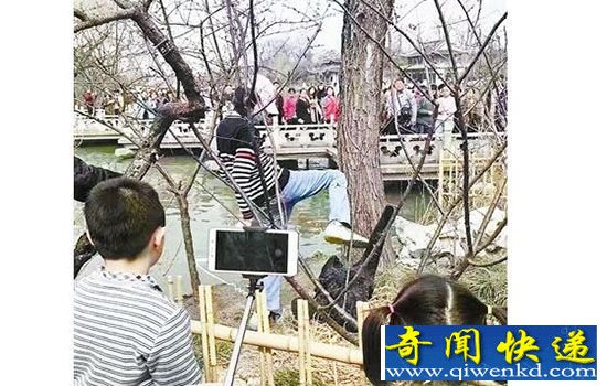 天鹅遭虐待禽兽不如!警察介入或重罚