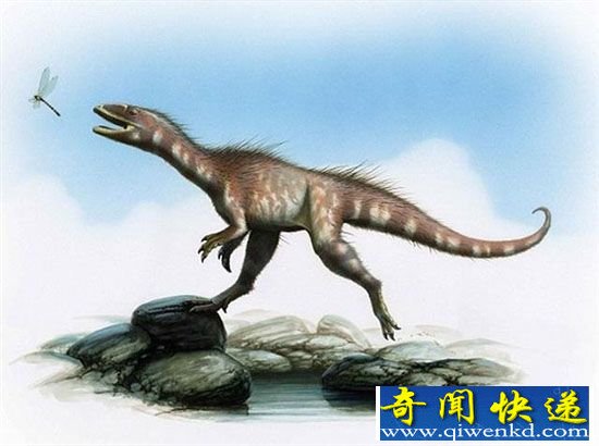 恐龙能靠两条腿走路:得益于它肌肉发达的尾巴