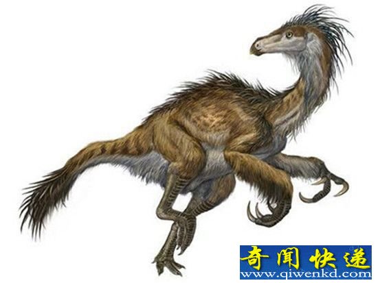 恐龙能靠两条腿走路:得益于它肌肉发达的尾巴