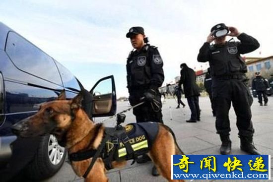 佩戴VR警犬亮相 犯罪分子无处遁形