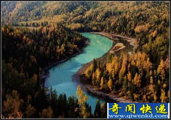 新疆喀纳斯湖惊现水怪真相 竟是巨型哲罗蛙