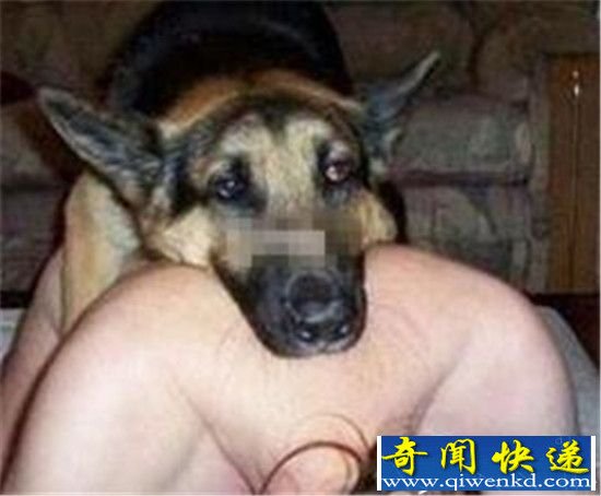 实拍人与动物交配劲爆场面 淫秽瞬间被围观!