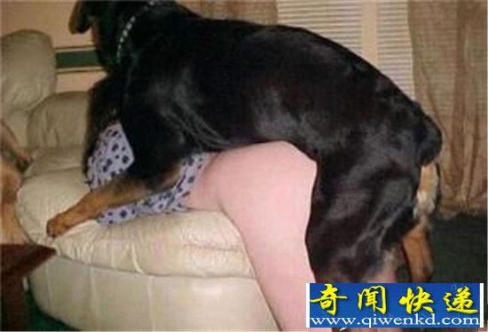 实拍人与动物交配劲爆场面 淫秽瞬间被围观!