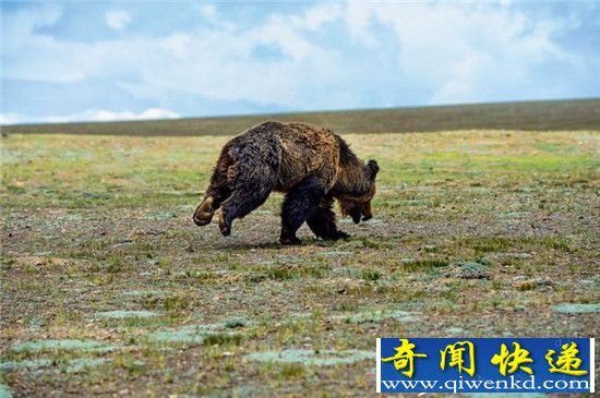 没有西藏世界将会怎样:西藏为什么如此迷人?