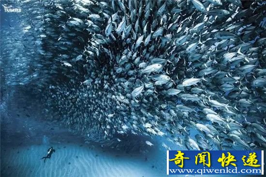 《国家地理旅行者》评出2017最佳旅游地榜单 成都上榜