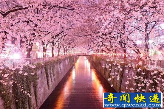 盘点全世界十大最美赏花地 感受令人窒息的美