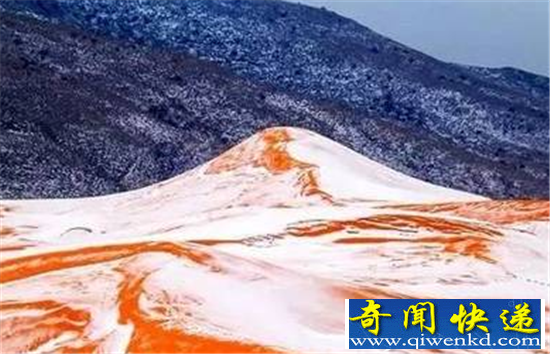 地球最热撒哈拉沙漠下雪 37年以来再现冰雪奇景
