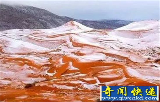 地球最热撒哈拉沙漠下雪 37年以来再现冰雪奇景