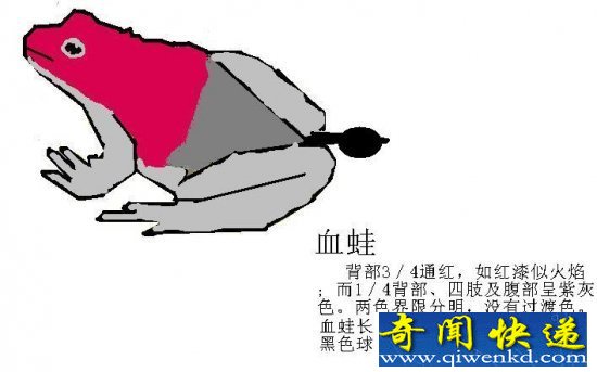 Ѫ