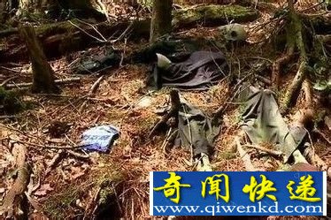 日本自杀森林