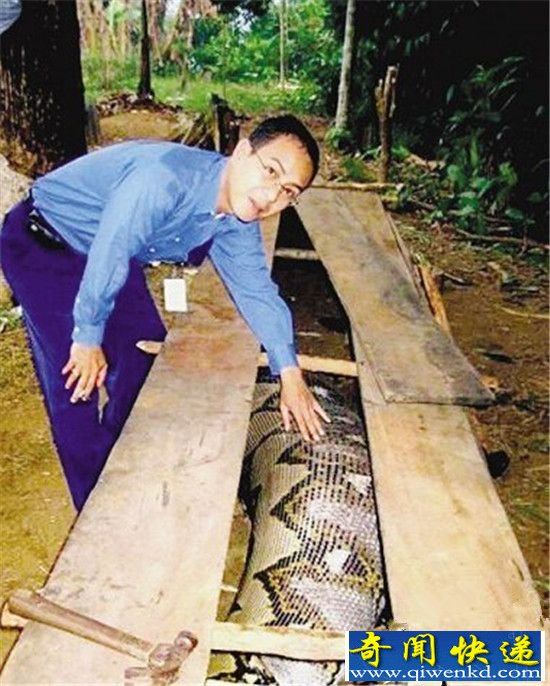村民捕获120岁大蛇 场面骇人
