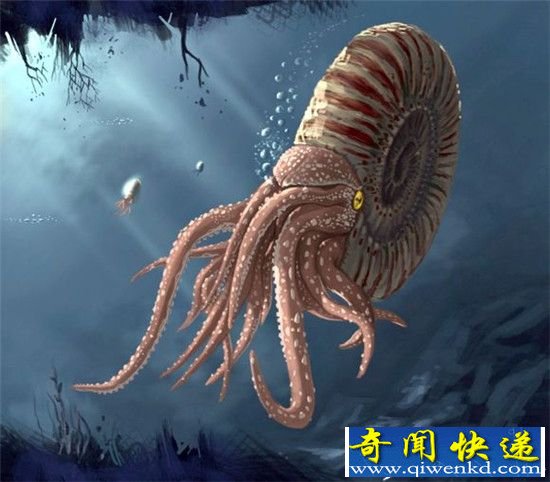 这么多年 其实你一直在喝其他生物的尿