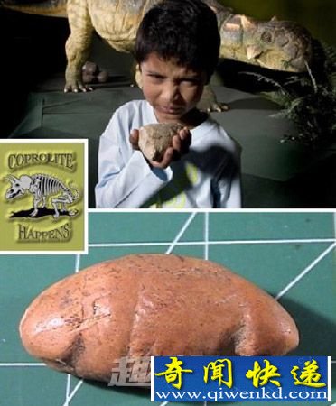 ໯ʯ