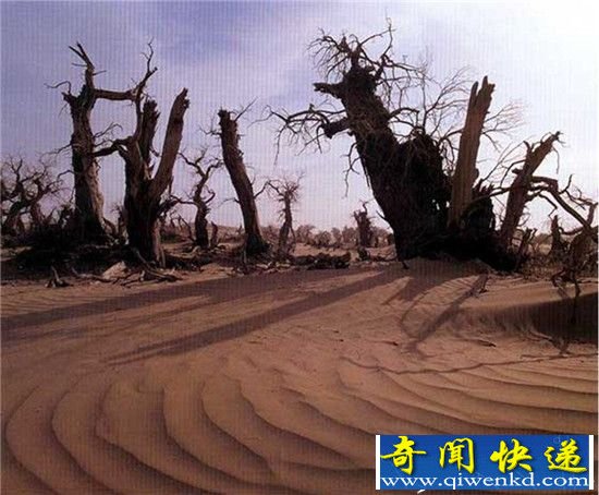 中国最后的未解之谜:罗布泊尘封百年绝密诅咒