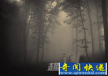 叶甫盖尼历险