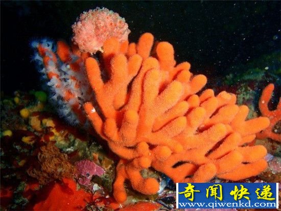 6.4ִ꣡ع