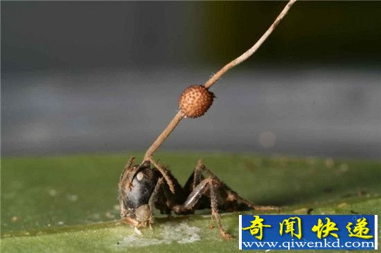 Ǽ棡̵㶯ʵڵġʬ