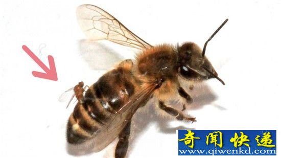 Ǽ棡̵㶯ʵڵġʬ