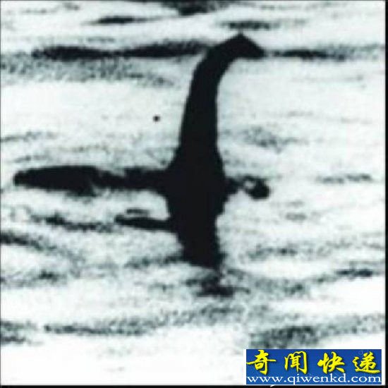 ¼  ǧǰľ