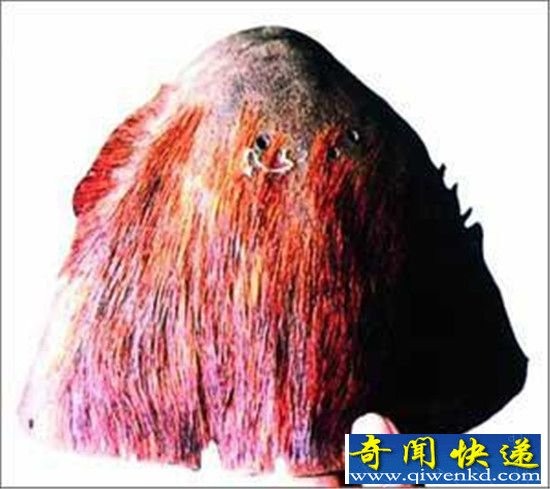 全球十大怪物盘点:喜马拉雅雪人半人半猿?