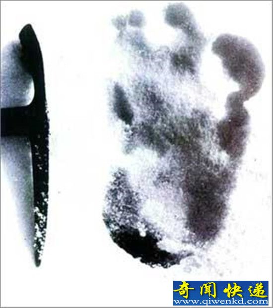 全球十大怪物盘点:喜马拉雅雪人半人半猿?