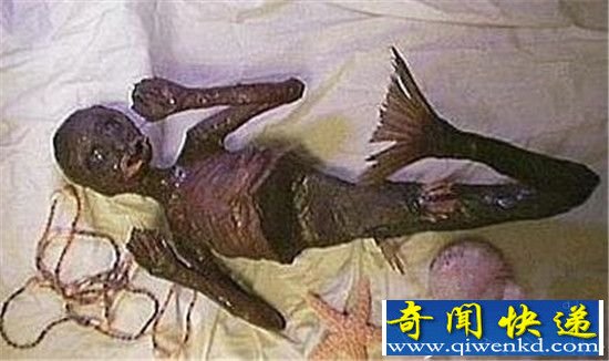 男子挖到3000年前美人鱼 震惊世界