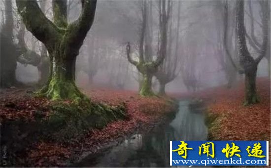 ȫ15ʵڵɭ ձө֮ɭλ