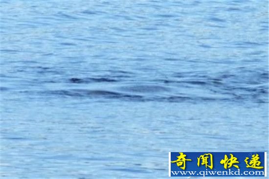 水怪之谜 一对母女声称看到尼斯湖水怪现身