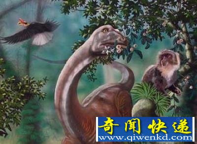 世界十大未解之谜 图片详解神秘事件