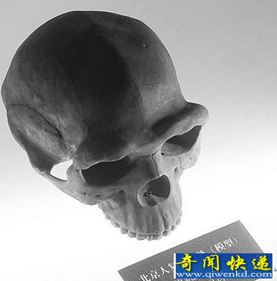 阿波丸号巨轮黄金神秘失踪 谜团重重