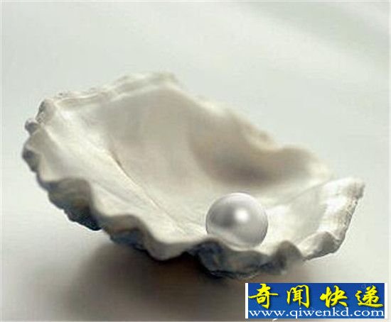 珍珠是如何形成的?宝石般的珍珠母