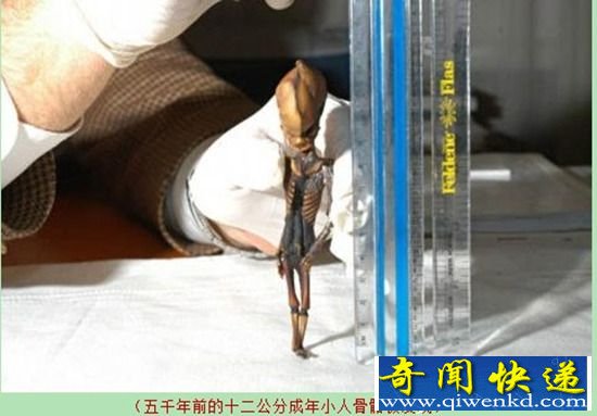 揭秘:人类历史之前是否存在巨人和矮人