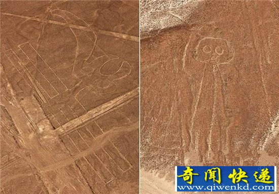 未解之谜:神秘的秘鲁纳斯卡线条
