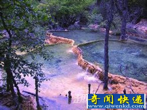 史迹 皇家 档案 唐朝