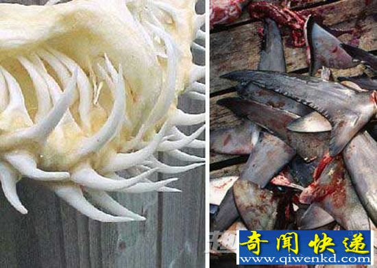 珍馐