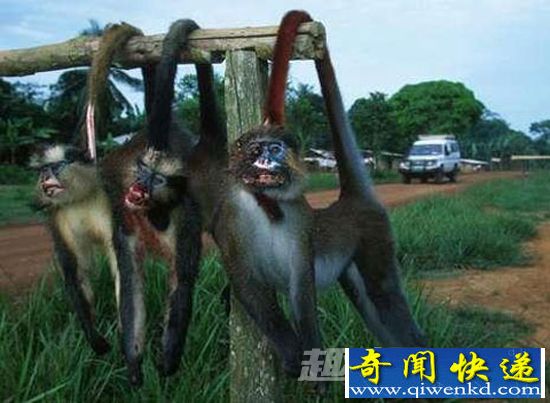 珍馐