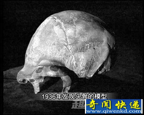 阿波丸号