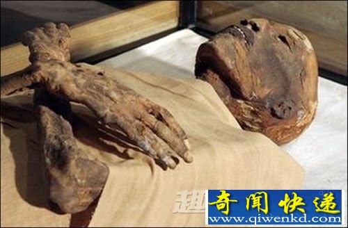 埃及女法老