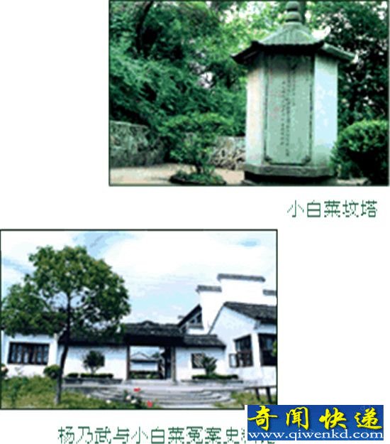 大清奇案“杨乃武与小白菜案”隐藏于一份奏折内